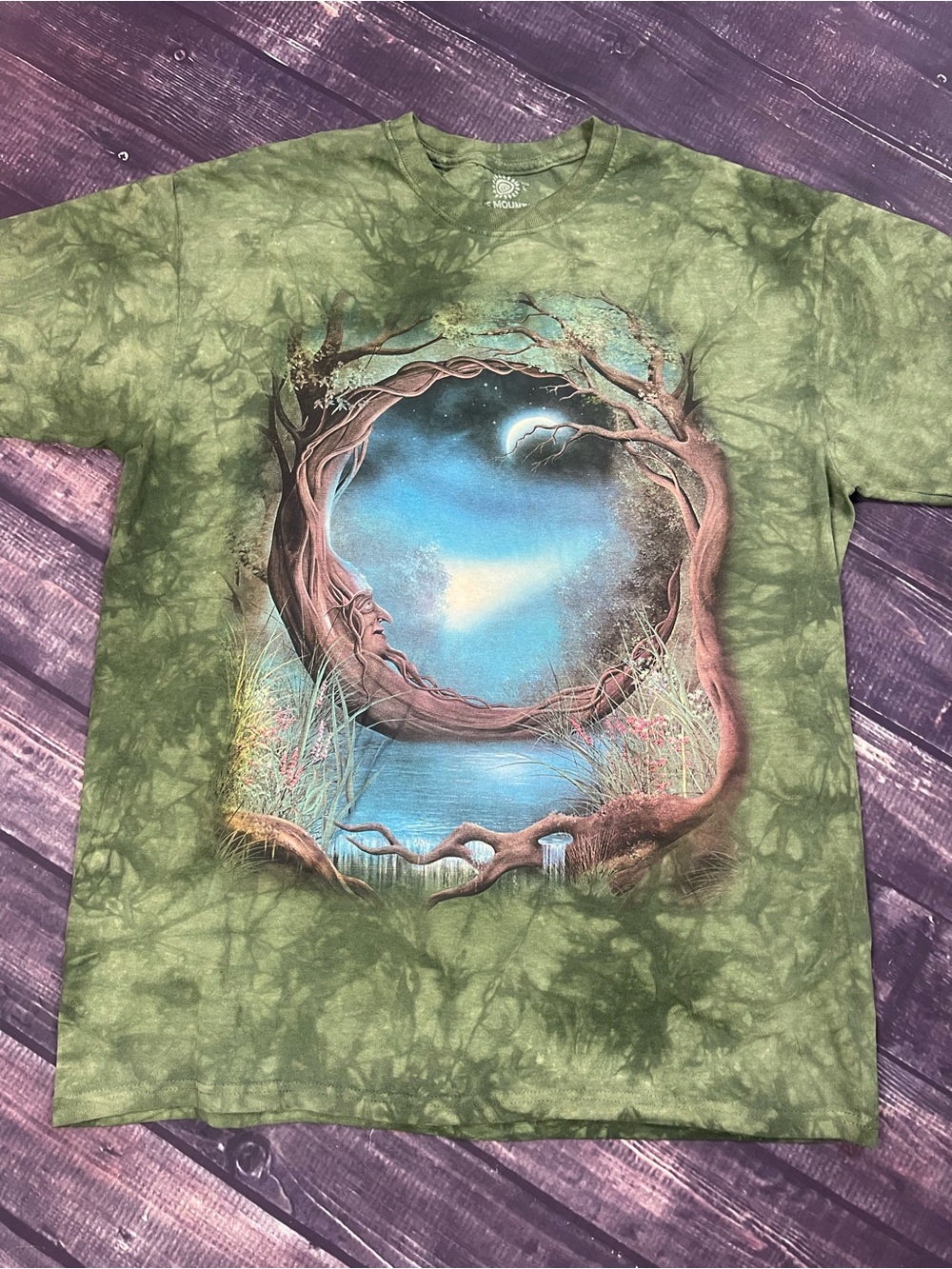 The Mountain Olive Green Graphic Tee with Subtle Blue Accents
